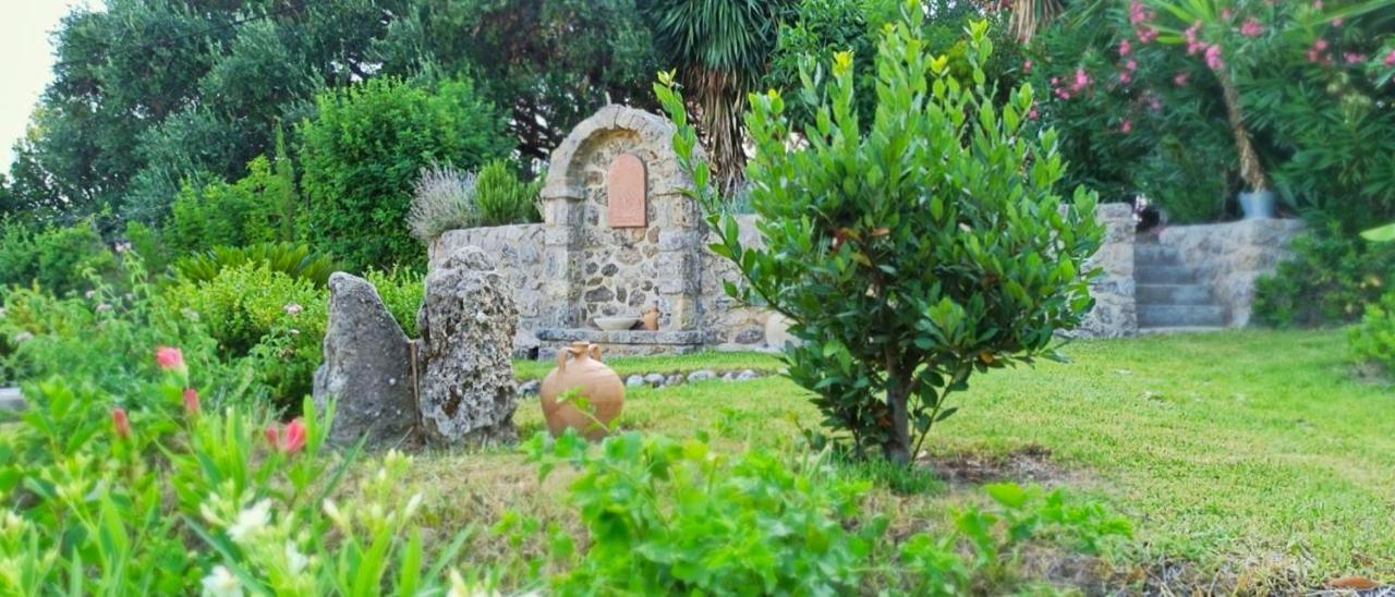 Bouganville *